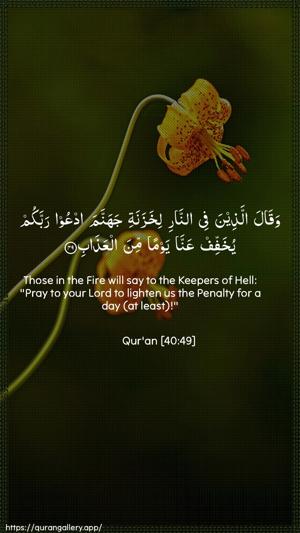 Al-Ghaafir Ayah 49 - Arabic + English wallpaper