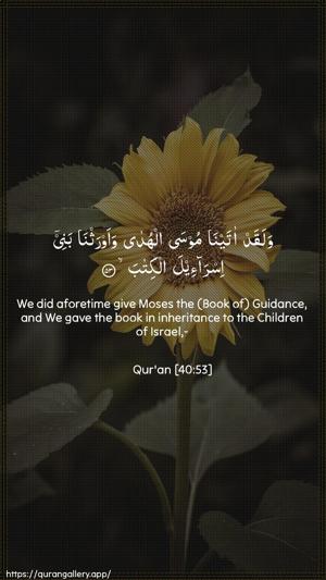 Al-Ghaafir Ayah 53 - Arabic + English wallpaper