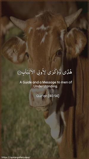 Al-Ghaafir Ayah 54 - Arabic + English wallpaper