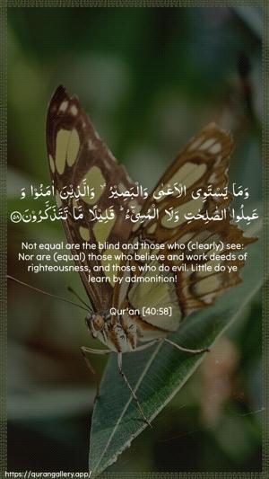 Al-Ghaafir Ayah 58 - Arabic + English wallpaper