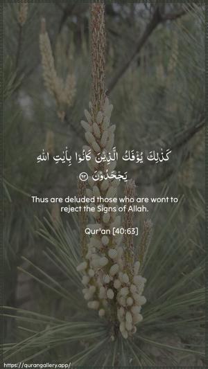 Al-Ghaafir Ayah 63 - Arabic + English wallpaper