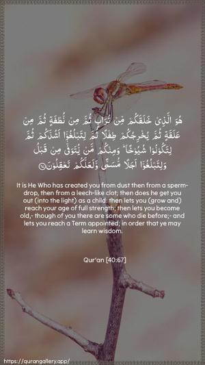 Al-Ghaafir Ayah 67 - Arabic + English wallpaper