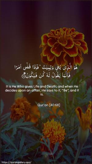 Al-Ghaafir Ayah 68 - Arabic + English wallpaper