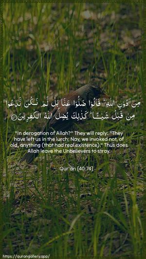 Al-Ghaafir Ayah 74 - Arabic + English wallpaper