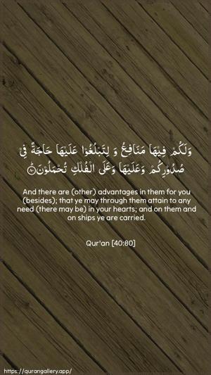 Al-Ghaafir Ayah 80 - Arabic + English wallpaper