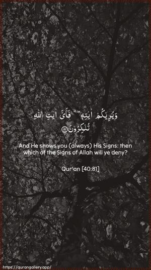 Al-Ghaafir Ayah 81 - Arabic + English wallpaper