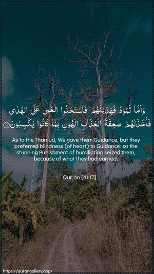 Fussilat Ayah 17 - Arabic + English wallpaper