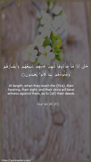 Fussilat Ayah 20 - Arabic + English wallpaper