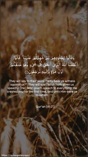 Fussilat Ayah 21 - Arabic + English wallpaper