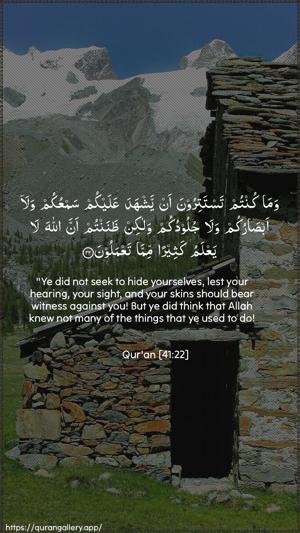 Fussilat Ayah 22 - Arabic + English wallpaper