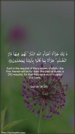 Fussilat Ayah 28 - Arabic + English wallpaper