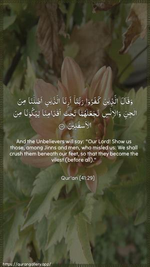 Fussilat Ayah 29 - Arabic + English wallpaper