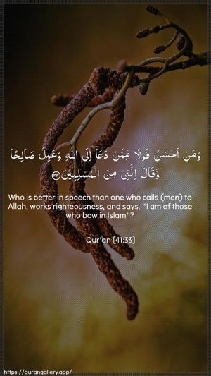 Fussilat Ayah 33 - Arabic + English wallpaper