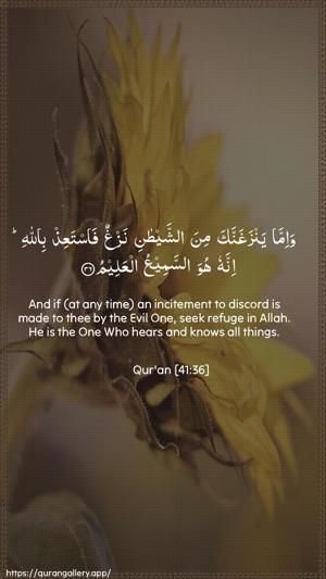 Fussilat Ayah 36 - Arabic + English wallpaper