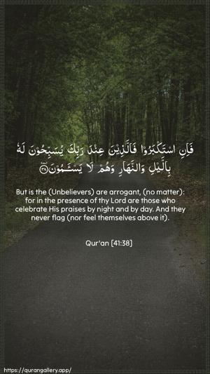Fussilat Ayah 38 - Arabic + English wallpaper