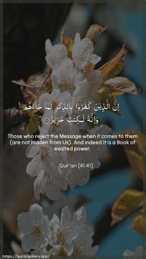 Fussilat Ayah 41 - Arabic + English wallpaper