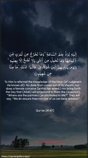 Fussilat Ayah 47 - Arabic + English wallpaper