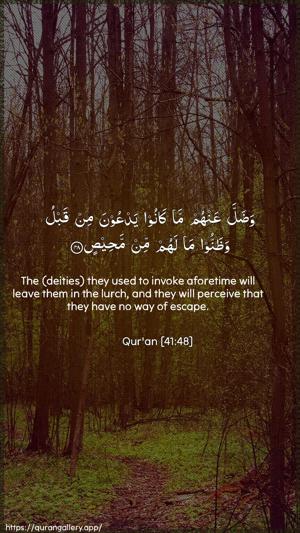 Fussilat Ayah 48 - Arabic + English wallpaper