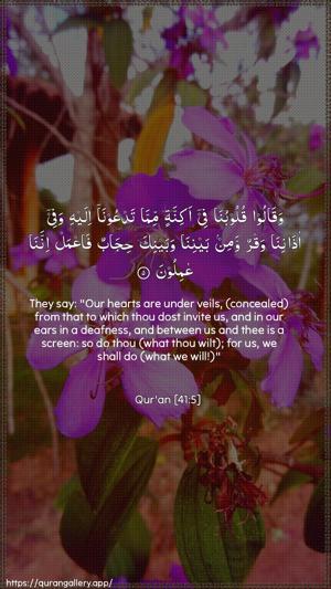 Fussilat Ayah 5 - Arabic + English wallpaper