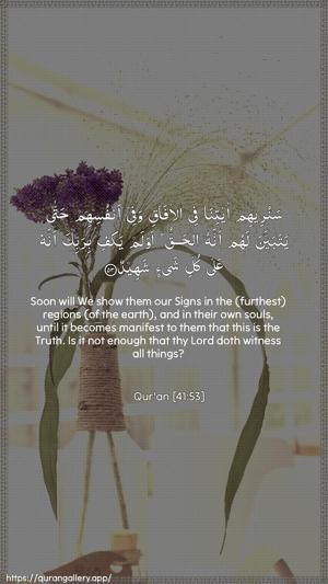Fussilat Ayah 53 - Arabic + English wallpaper