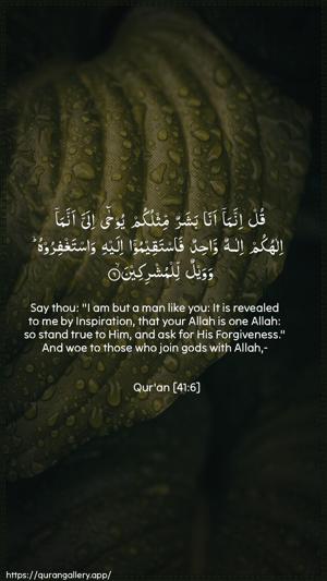 Fussilat Ayah 6 - Arabic + English wallpaper
