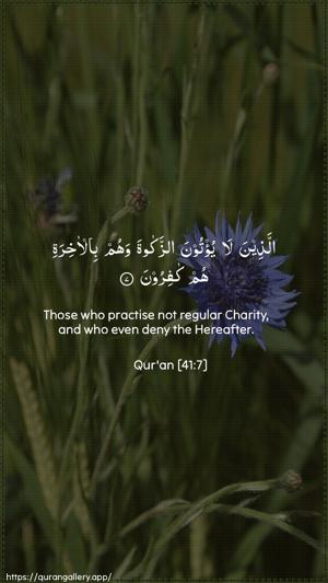 Fussilat Ayah 7 - Arabic + English wallpaper