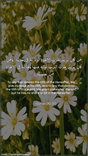 Ash-Shura Ayah 20 - Arabic + English wallpaper