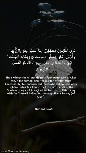 Ash-Shura Ayah 22 - Arabic + English wallpaper
