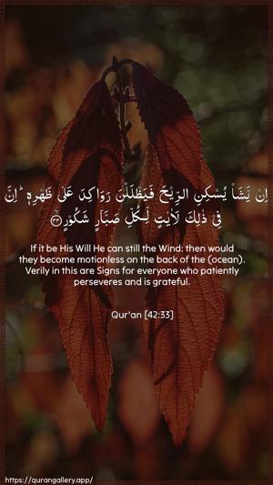 Ash-Shura Ayah 33 - Arabic + English wallpaper