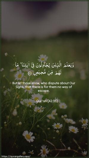 Ash-Shura Ayah 35 - Arabic + English wallpaper