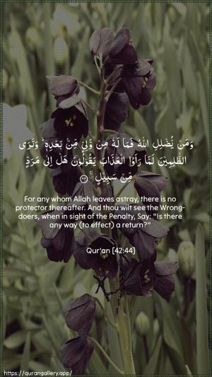 Ash-Shura Ayah 44 - Arabic + English wallpaper