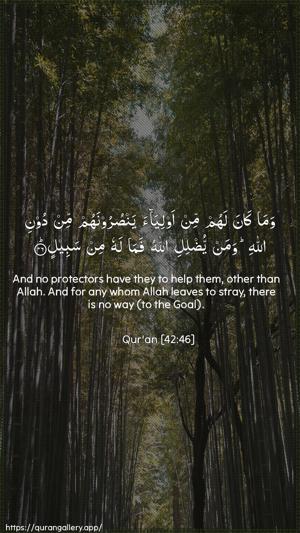 Ash-Shura Ayah 46 - Arabic + English wallpaper