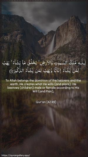 Ash-Shura Ayah 49 - Arabic + English wallpaper
