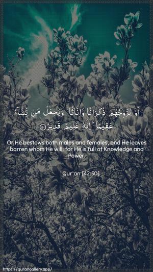 Ash-Shura Ayah 50 - Arabic + English wallpaper