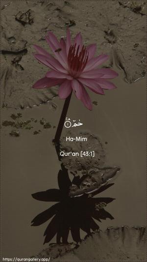 Az-Zukhruf Ayah 1 - Arabic + English wallpaper