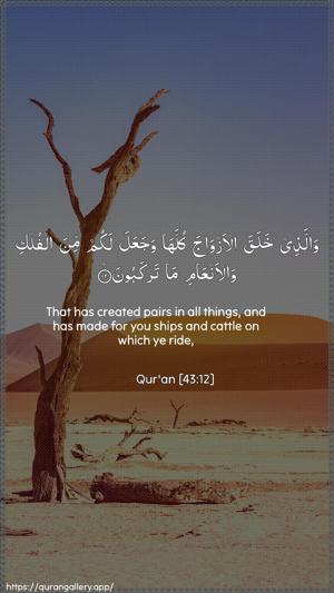 Az-Zukhruf Ayah 12 - Arabic + English wallpaper