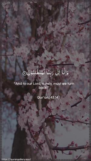 Az-Zukhruf Ayah 14 - Arabic + English wallpaper