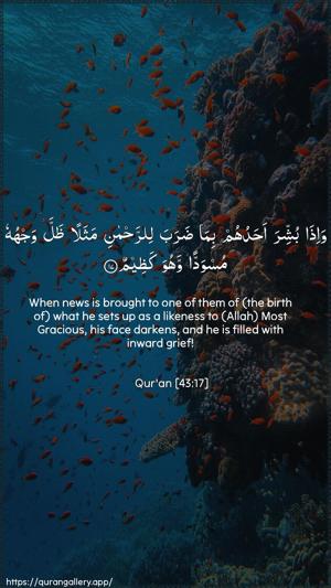 Az-Zukhruf Ayah 17 - Arabic + English wallpaper