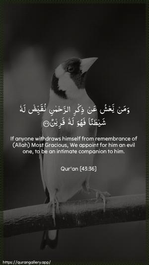 Az-Zukhruf Ayah 36 - Arabic + English wallpaper