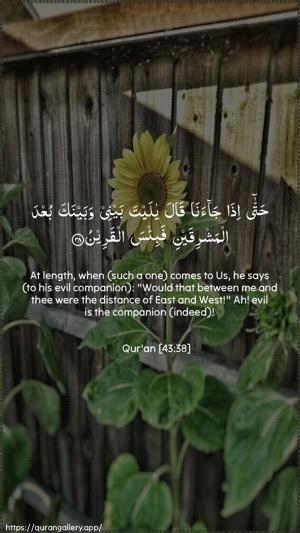 Az-Zukhruf Ayah 38 - Arabic + English wallpaper