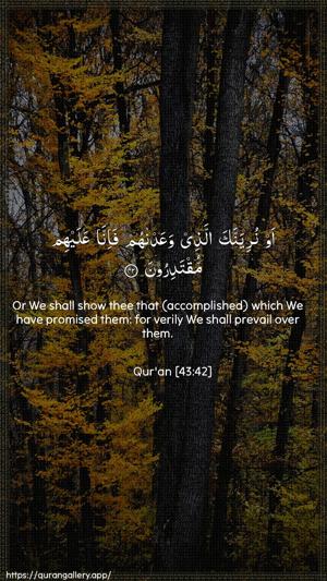 Az-Zukhruf Ayah 42 - Arabic + English wallpaper