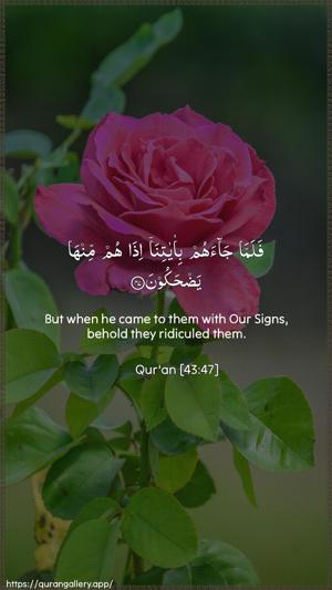 Az-Zukhruf Ayah 47 - Arabic + English wallpaper