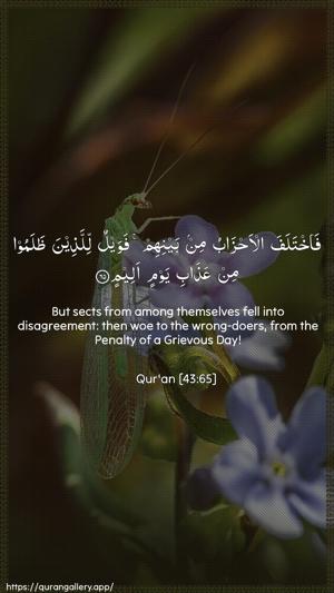 Az-Zukhruf Ayah 65 - Arabic + English wallpaper