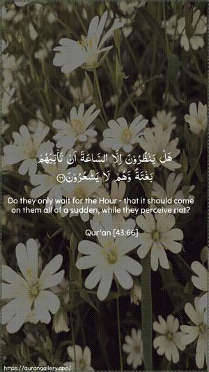 Az-Zukhruf Ayah 66 - Arabic + English wallpaper