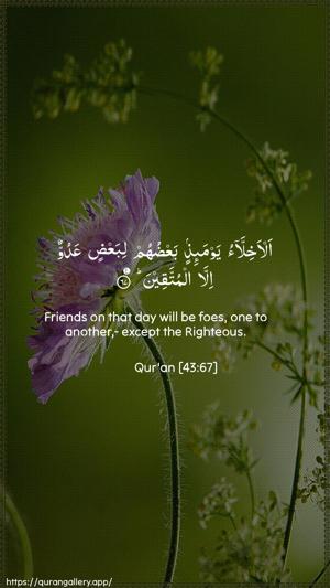 Az-Zukhruf Ayah 67 - Arabic + English wallpaper