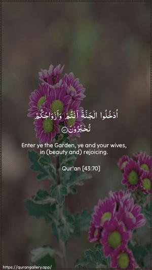 Az-Zukhruf Ayah 70 - Arabic + English wallpaper