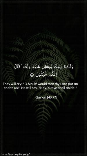 Az-Zukhruf Ayah 77 - Arabic + English wallpaper