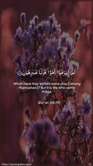 Az-Zukhruf Ayah 79 - Arabic + English wallpaper