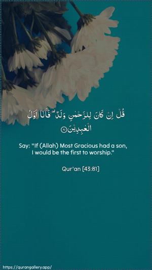 Az-Zukhruf Ayah 81 - Arabic + English wallpaper