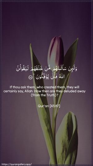 Az-Zukhruf Ayah 87 - Arabic + English wallpaper